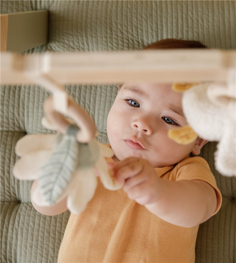 Gimansio infantil little dutch