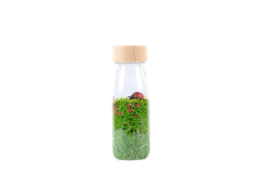 Botella sensorial - Sound Ladybirds
