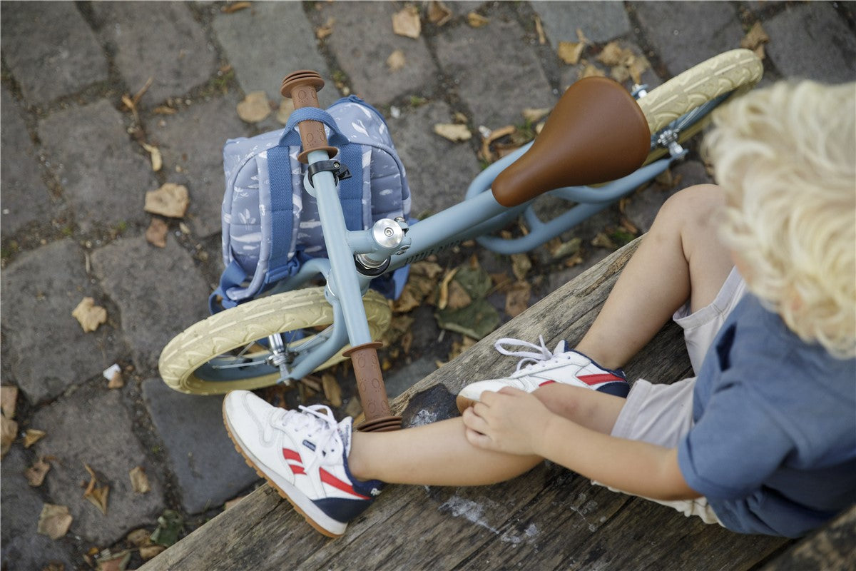 Bicicleta equilibrio azul little dutch