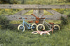 Bicicletas equilibrio little dutch