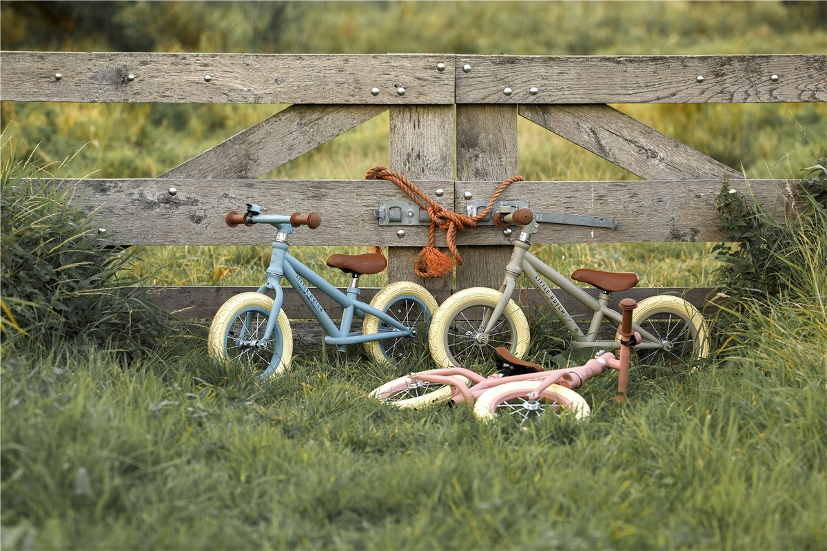 Bicicletas equilibrio little dutch