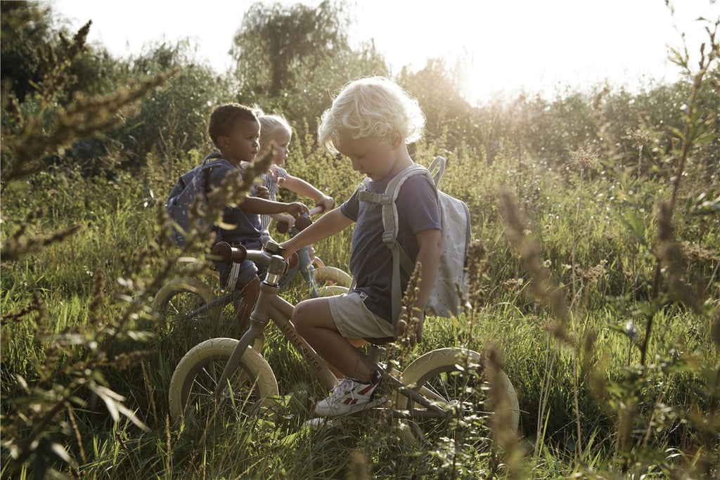 Bicicleta little dutch en el campo