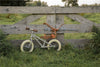 Bicicleta little dutch