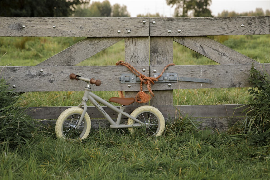 Bicicleta little dutch