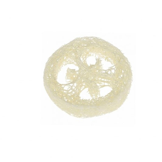 Rodaja esponja Luffa